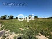 Terrain à LONGFOSSE