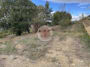 Terrain à MONTAUROUX