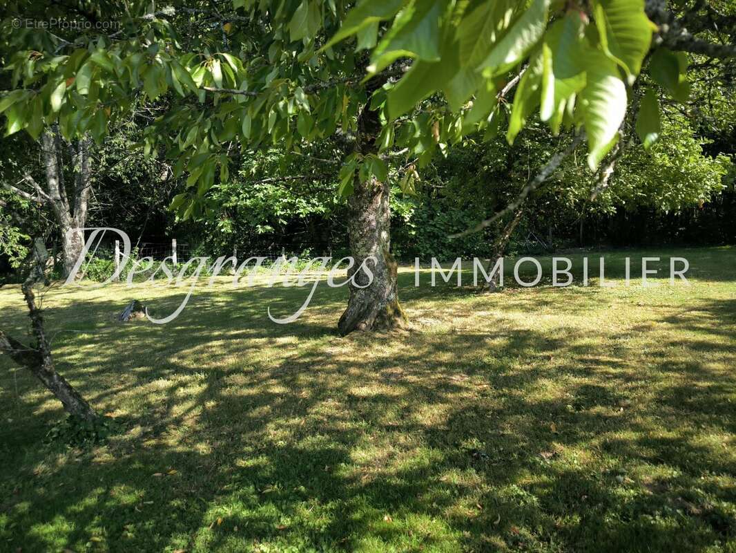 Maison 80 m² à Bussiere-Galant  - photo 5