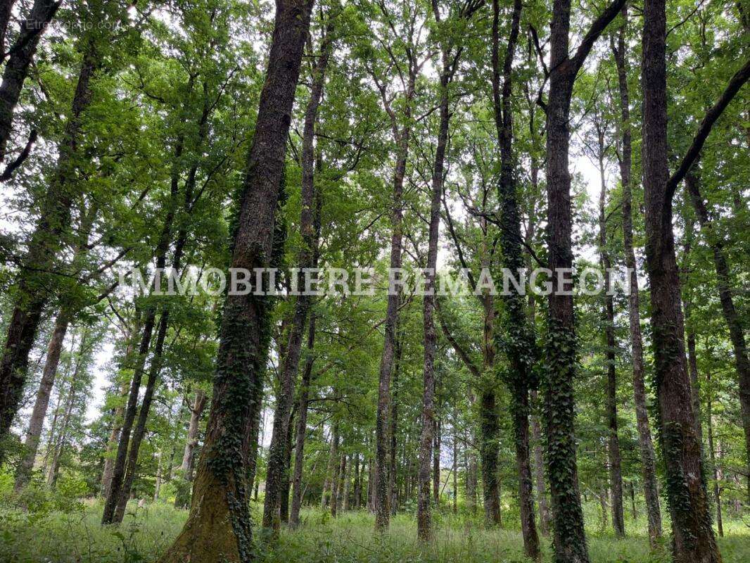 Maison à SAINT-VIATRE