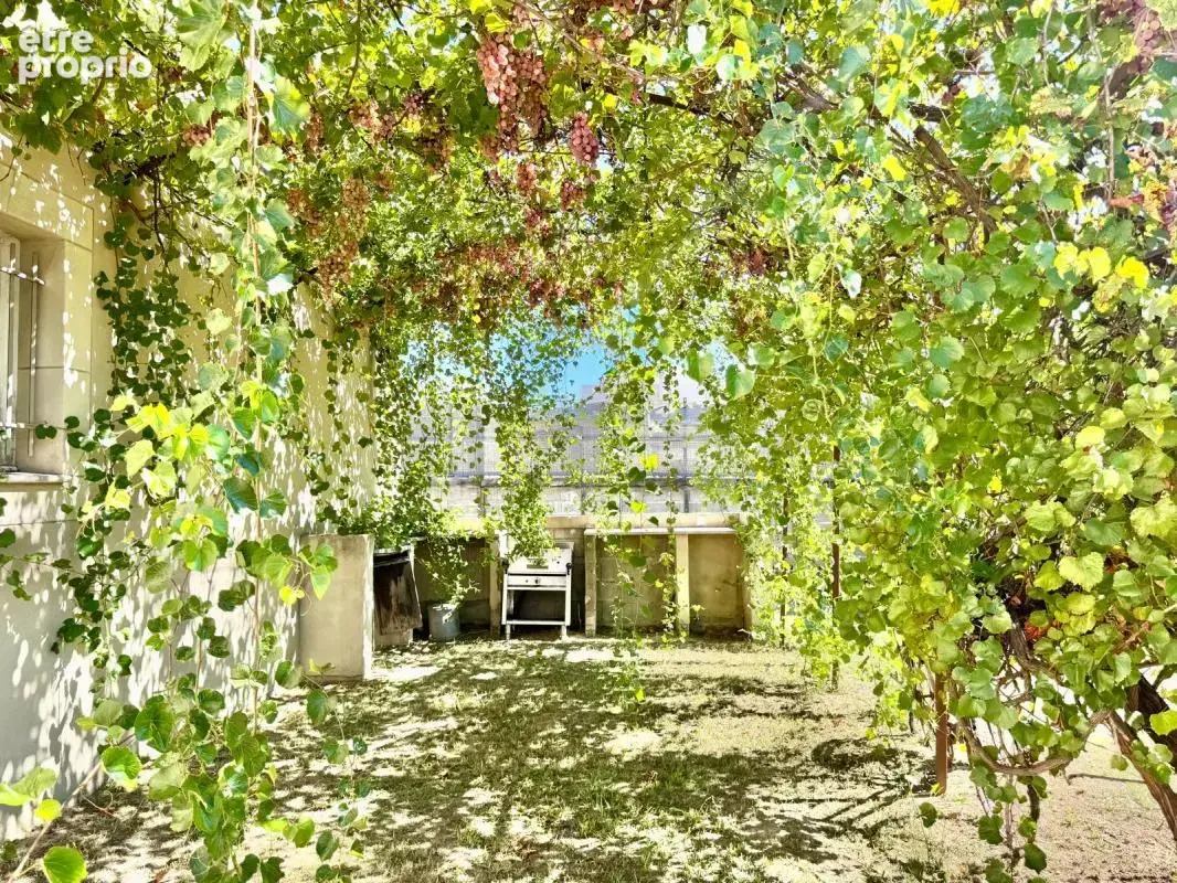Ensemble immobilier de caractère à Malaucène : grande habitation de charme, hangar et dépendances professionnelles - photo 15