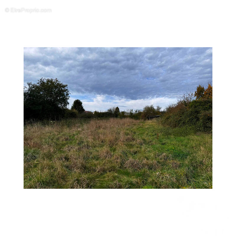 Photo 1 - Terrain à GUIGNECOURT