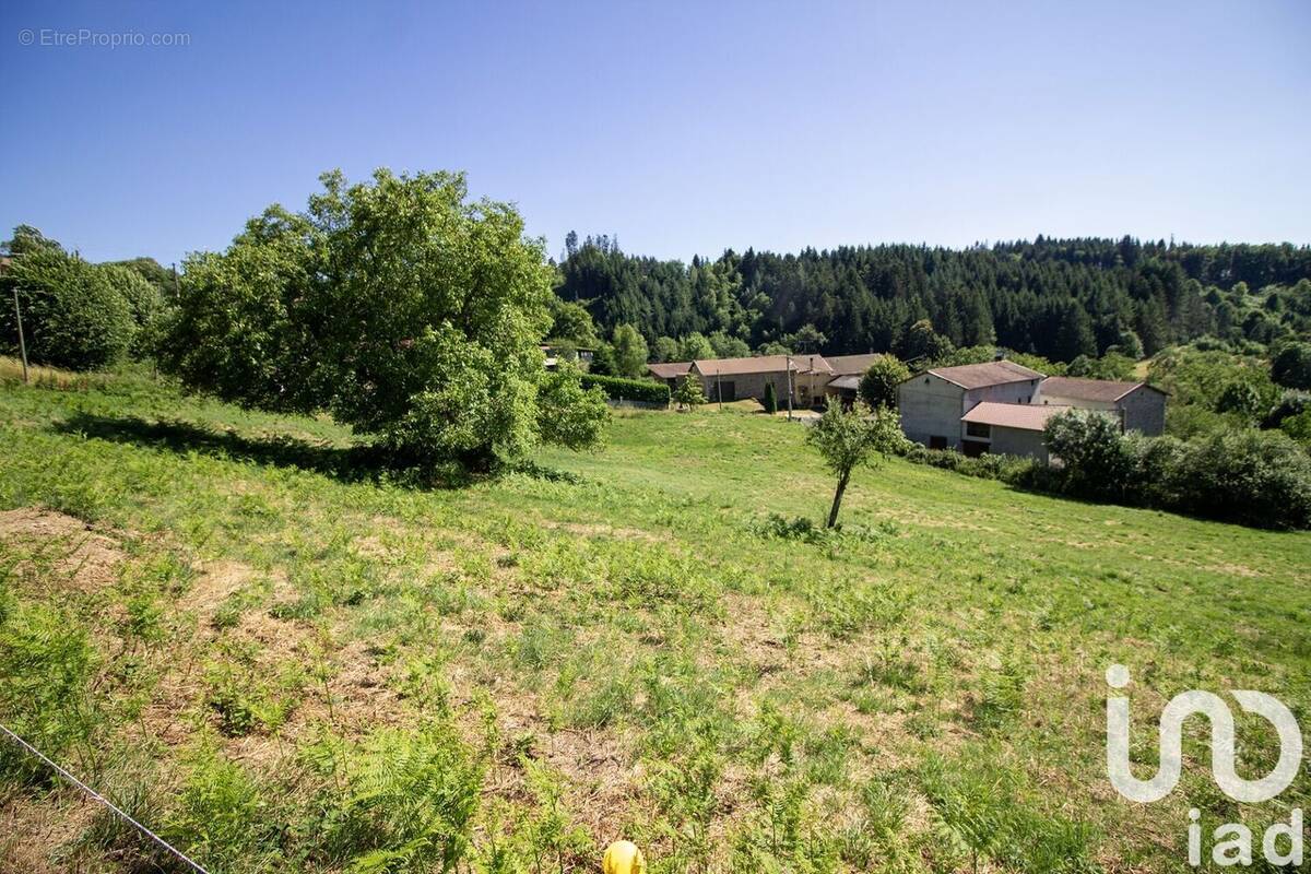 Photo 1 - Terrain à SAINT-MARTIN-DES-OLMES