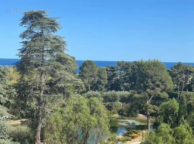 EXCLUSIVITE / Domaine du Loup / Vue Mer et Parc - photo 9