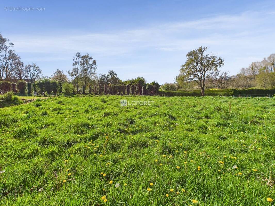 Terrain à SAINT-COULITZ