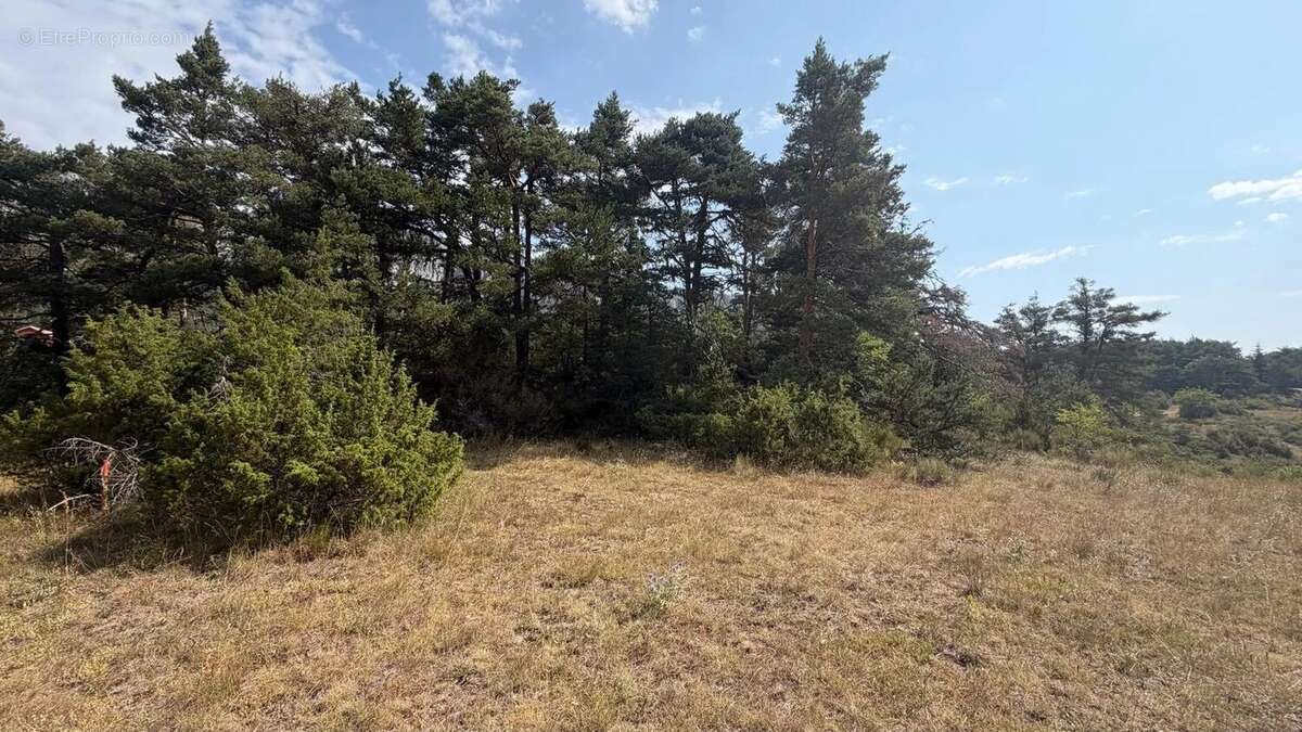 Terrain constructible de 1 990 m² – Un cadre naturel privilégié - photo 11