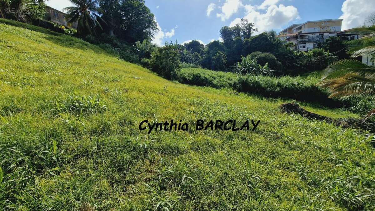 Terrain à FORT-DE-FRANCE