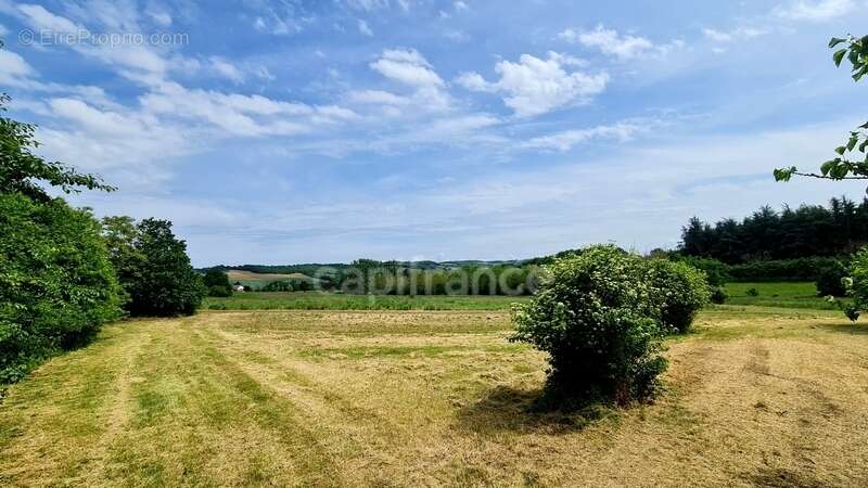 À vendre : Propriété à restaurer, à 10 mn d'Auvillar, d'environ 240 m2 habitables, sur terrain de 7400 m2  (82) - photo 25