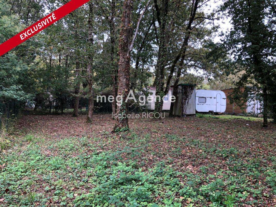 Terrain à SAINT-PIERRE-D&#039;OLERON