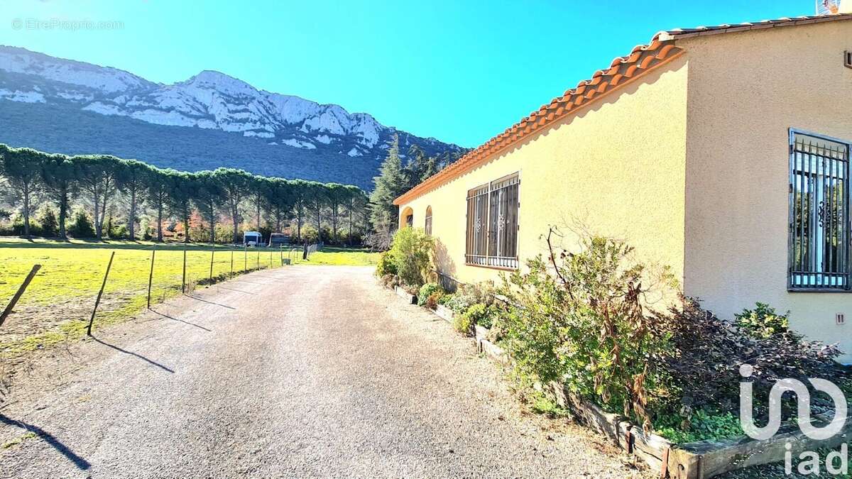 Photo 7 - Maison à CAUDIES-DE-FENOUILLEDES