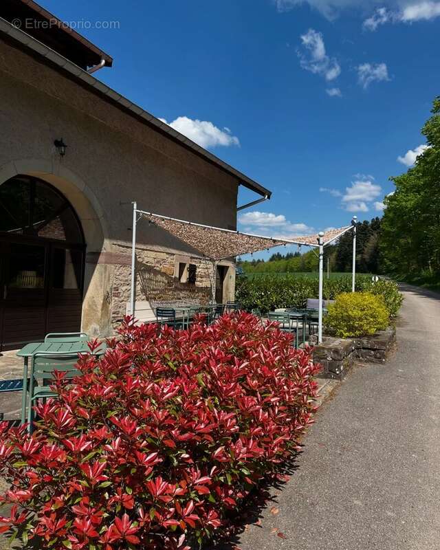 Commerce à PLOMBIERES-LES-BAINS