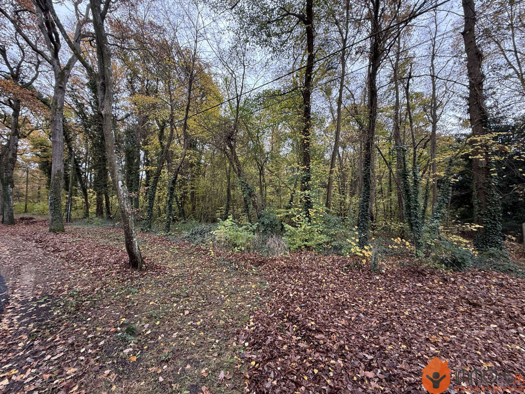 Terrain à LAMORLAYE