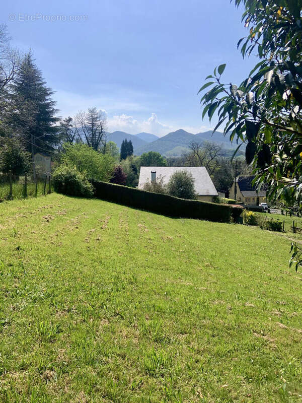 IMG_2436 - Maison à OLORON-SAINTE-MARIE