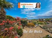 Maison à ILE-DE-BATZ