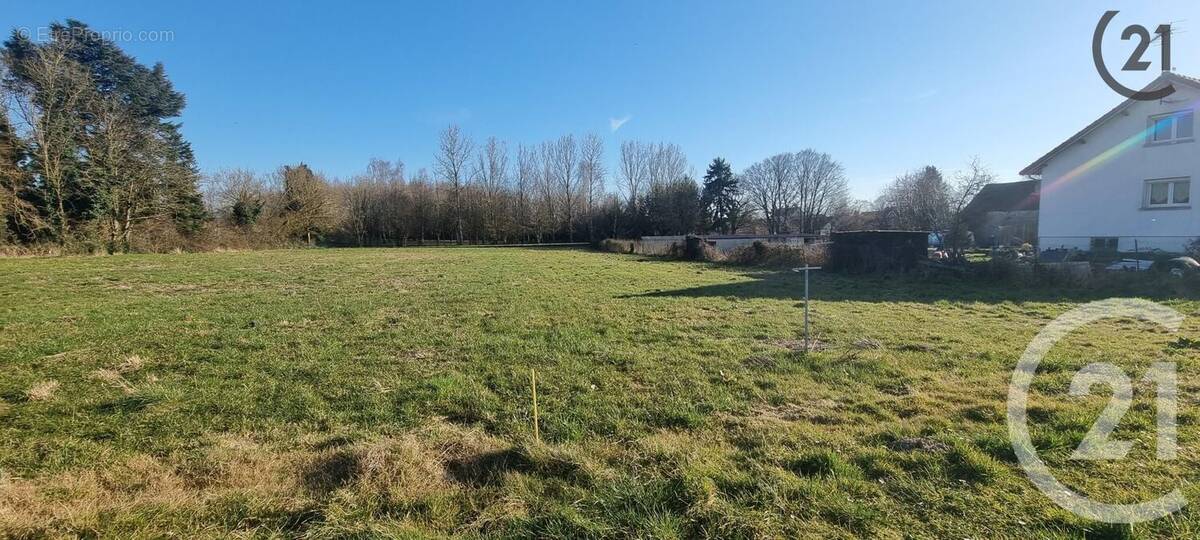 Terrain à LOUAN-VILLEGRUIS-FONTAINE