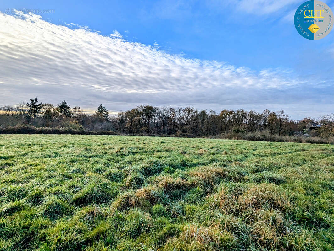 Terrain à bâtir hors lotissement à MONTENEUF - photo 3