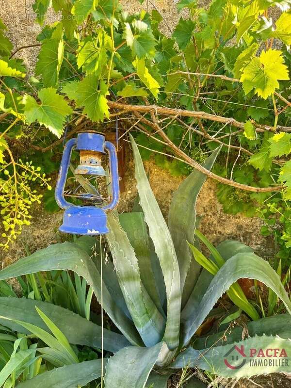 Maison atypique au coeur de la nature - photo 11