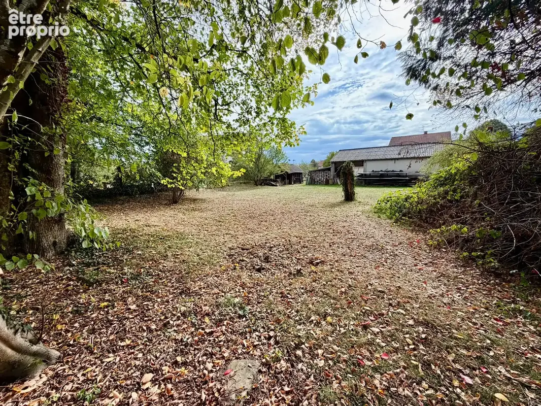 Vente pavillon sur sous-sol avec dépendance, sur terrain de 25,69 ares BREUCHES - photo 26