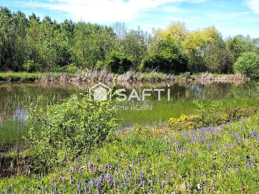 Photo 5 - Terrain à CONDAL