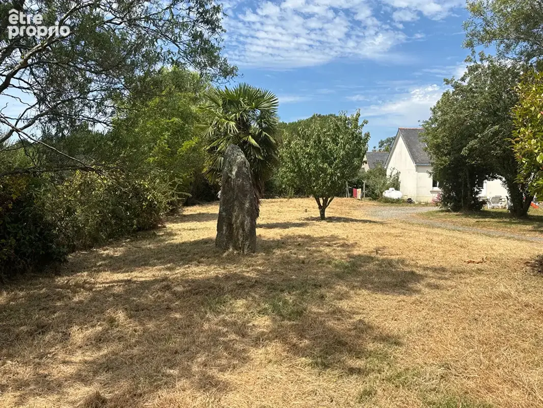 Terrain constructible 816 m2 - photo 2