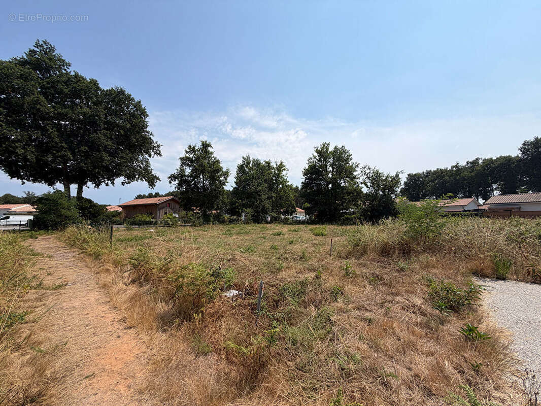 Terrain à vendre ? soustons - photo 2
