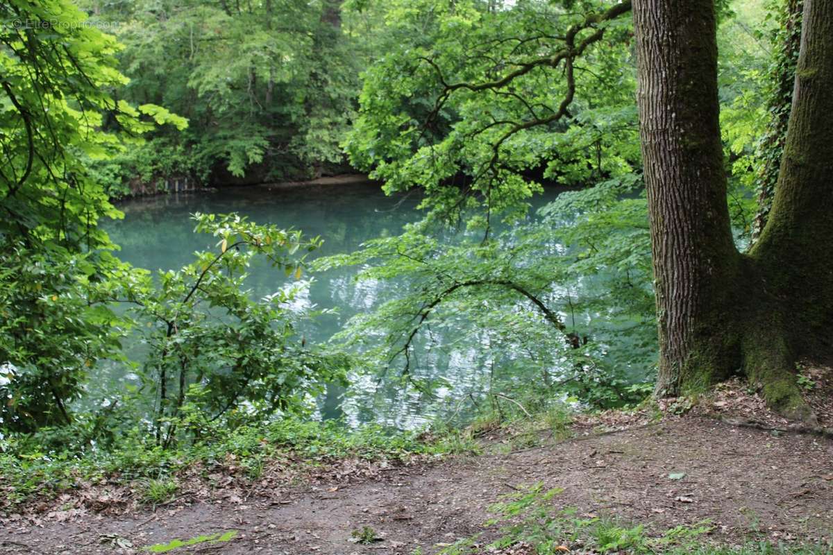 Appartement à OLIVET