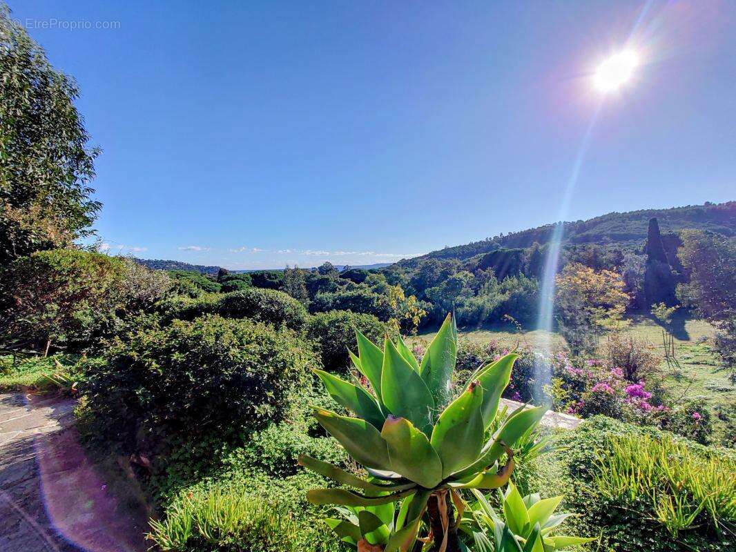 Maison à LE LAVANDOU