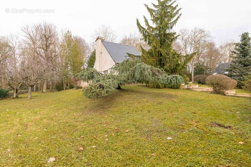 Demeure familiale au Cœur des Grands Crus : Propriété avec Potentiel de Gîte à Vougeot - photo 7
