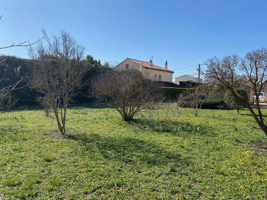 Terrain à PERNES-LES-FONTAINES