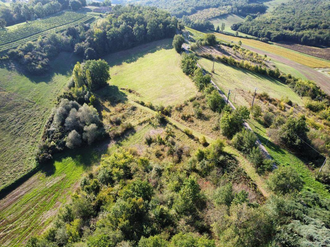 Terrain à MOISSAC