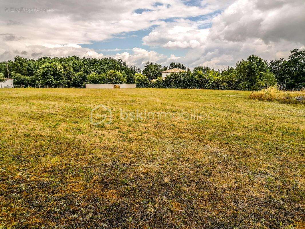 Terrain de 1585m2 à Cunèges - photo 4