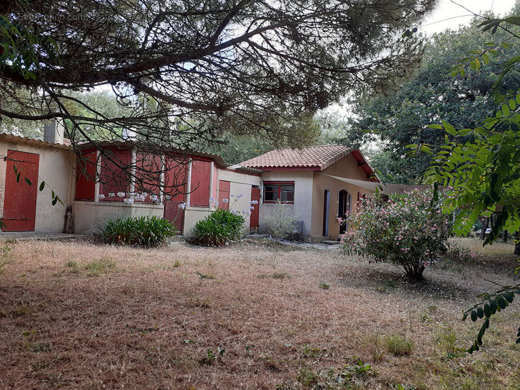 Maison Saint Pierre D'Oleron 4 pièces 60 m2 - photo 3