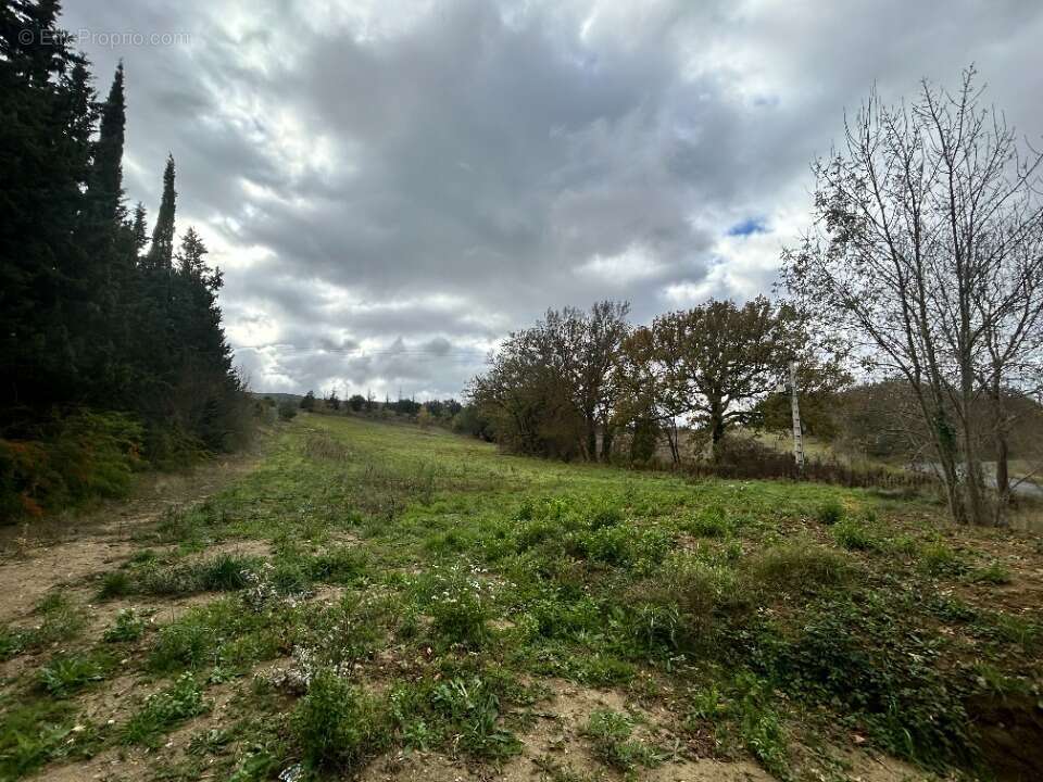Terrain 9305 m² à La Digne-D'aval  - photo 2