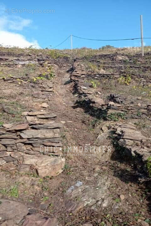 Terrain à COLLIOURE