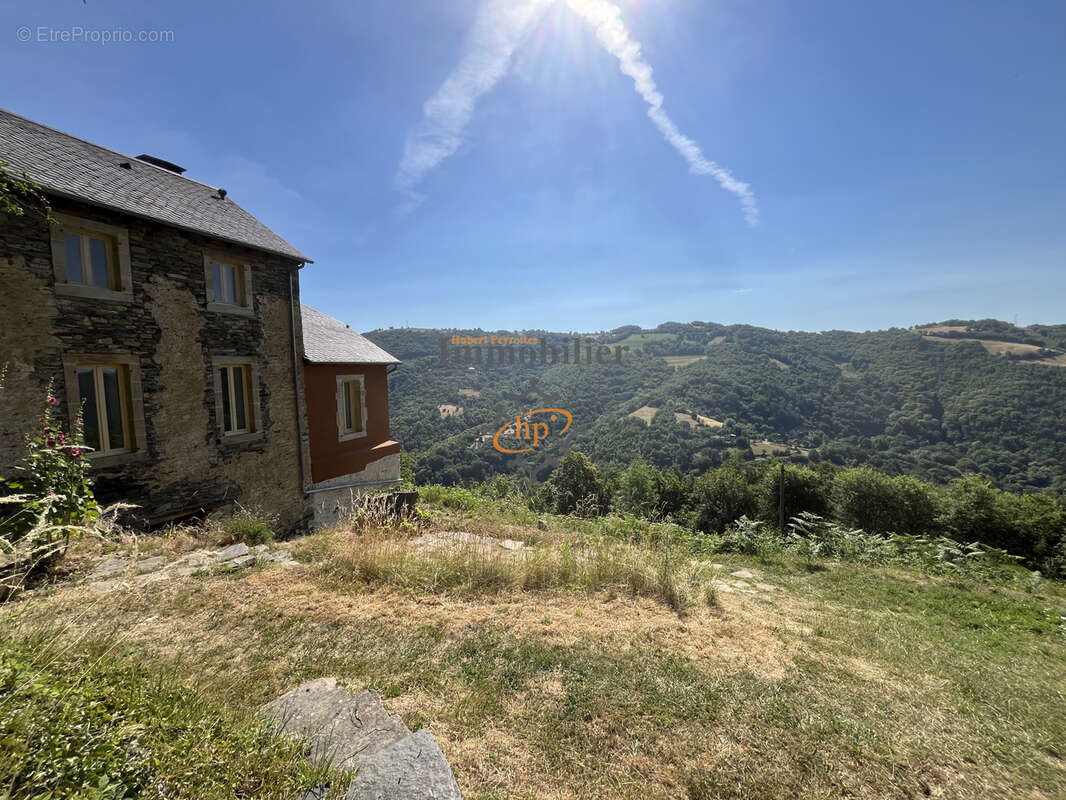 Vente Ayssènes, Vallée du Tarn, Propriété sur 2 hectares 9558 m2. - photo 24