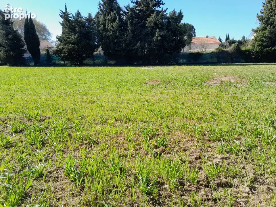 Terrain 500 m² à vendre à Aubignan (84810) - photo 4
