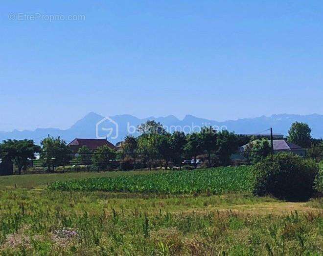 Parcelle de terrain plat constructible avec vue Pyrénées - photo 2