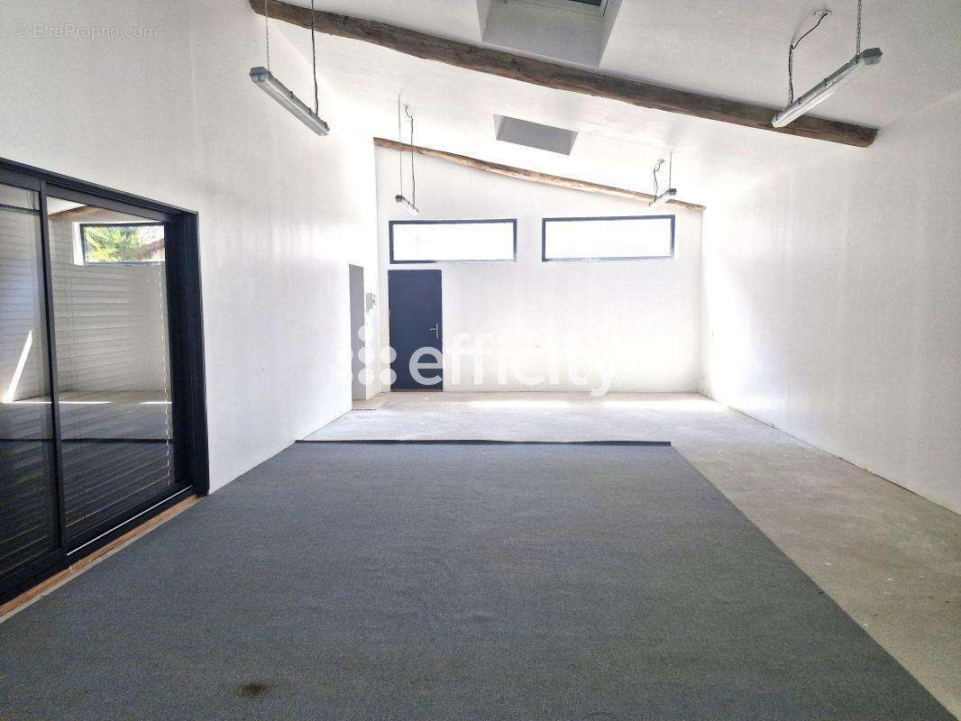 Maison 257 m² à Vernioz  - photo 5
