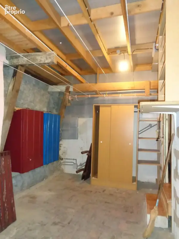 Maison à vendre 4 pièces BLENEAU (89) Maison au cœur du village de Bléneau, jardin et garage - photo 18