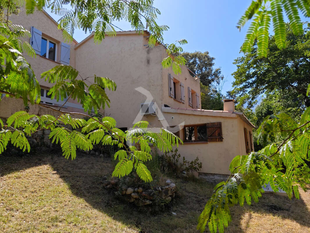 Maison à ZONZA