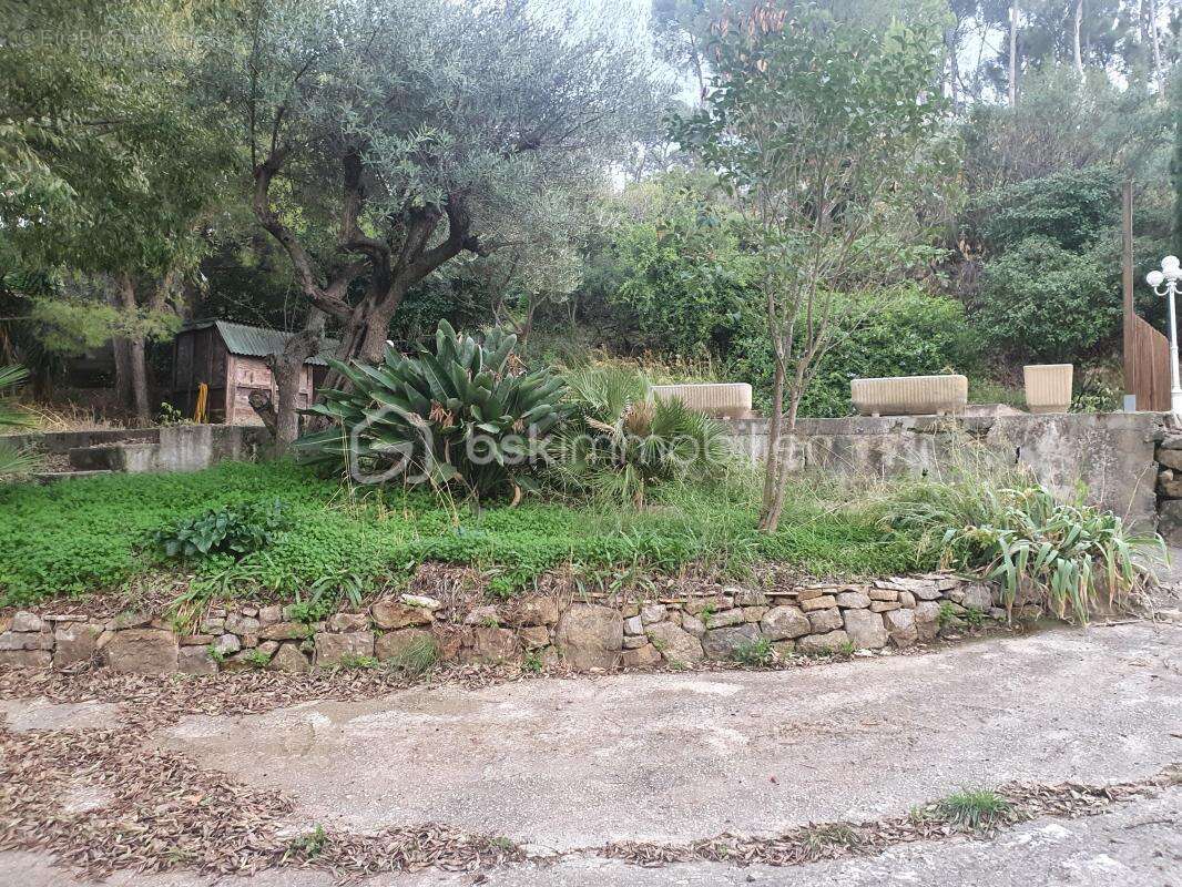 Terrain à OLLIOULES