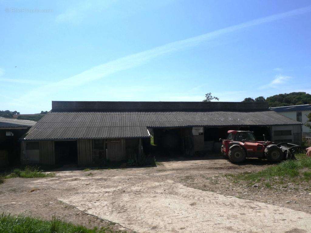 Exploitation agricole - photo 15