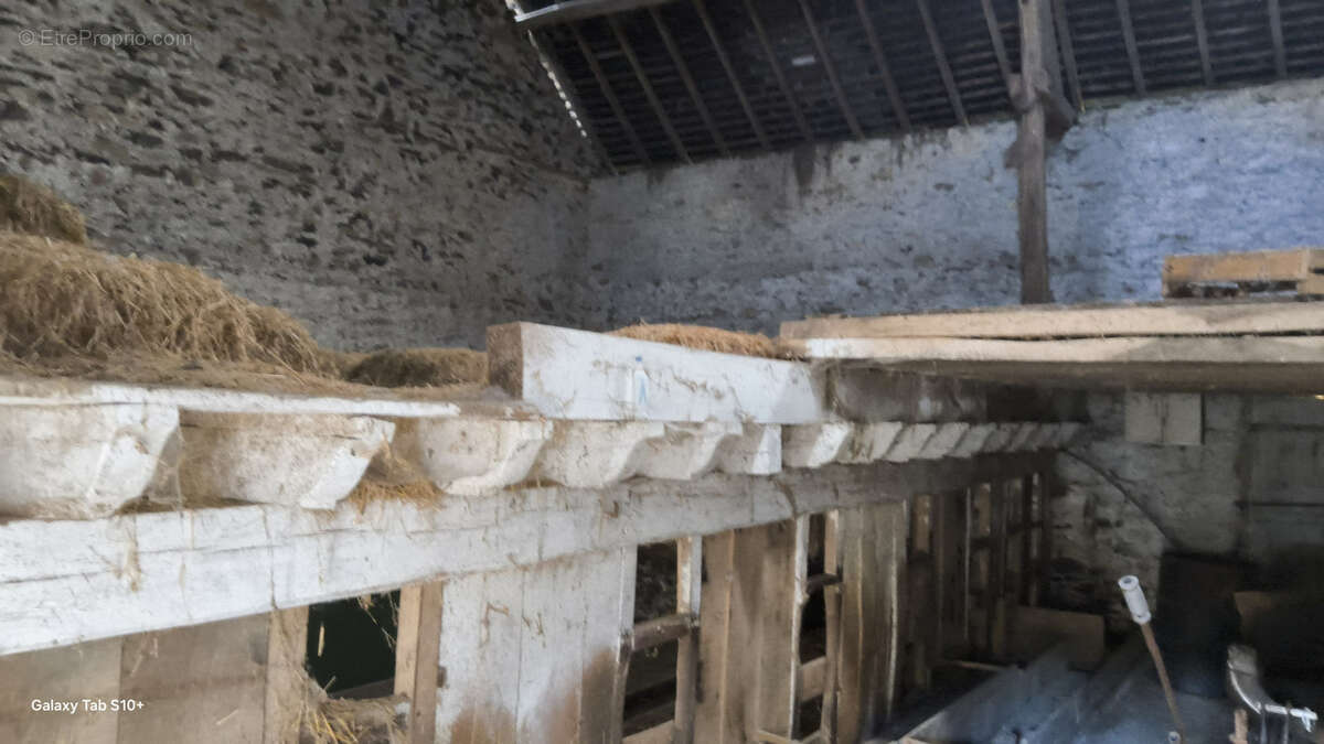 Maison à SAINT-VITTE-SUR-BRIANCE