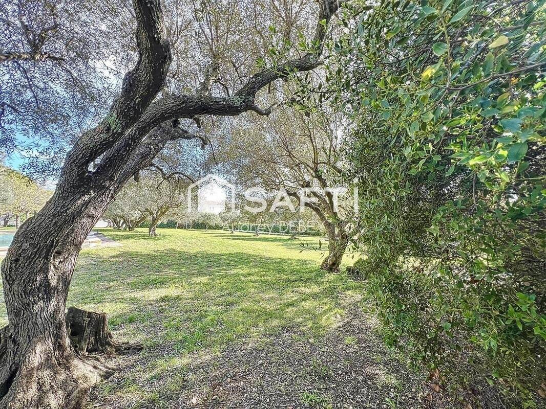 Photo 1 - Terrain à SANARY-SUR-MER