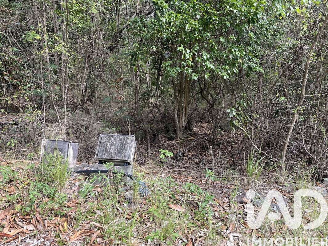 Photo 4 - Terrain à DESHAIES