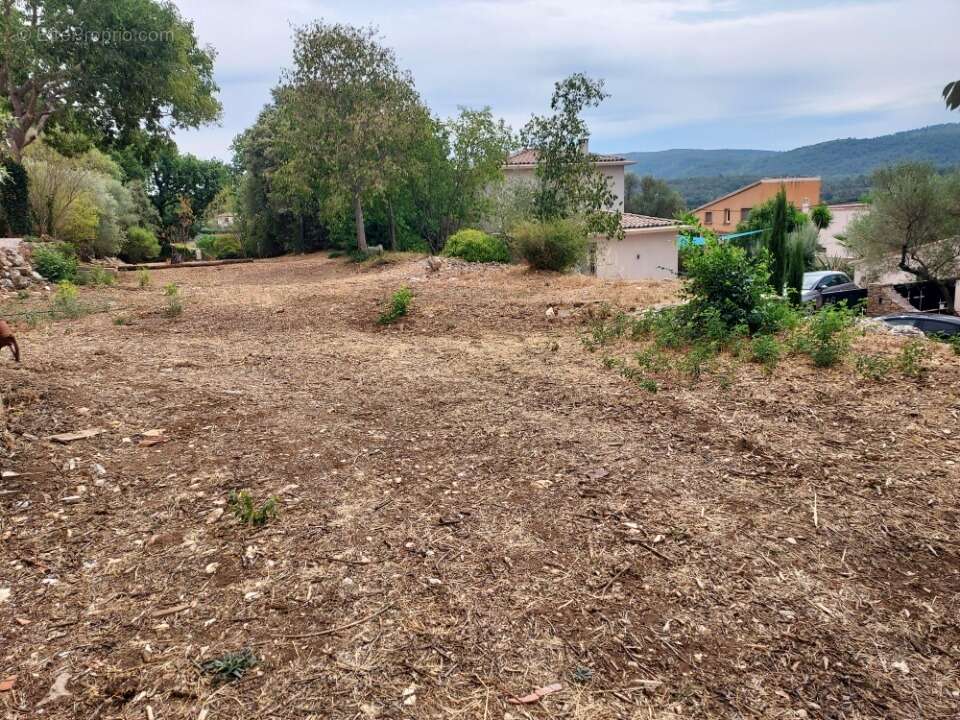 Terrain à CAMPS-LA-SOURCE