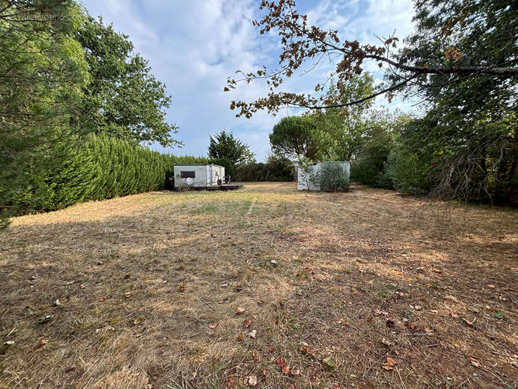 Terrain de loisirs de 1 019 m²  - Environnement privilégié à Saint-Georges-d'Oléron - photo 3