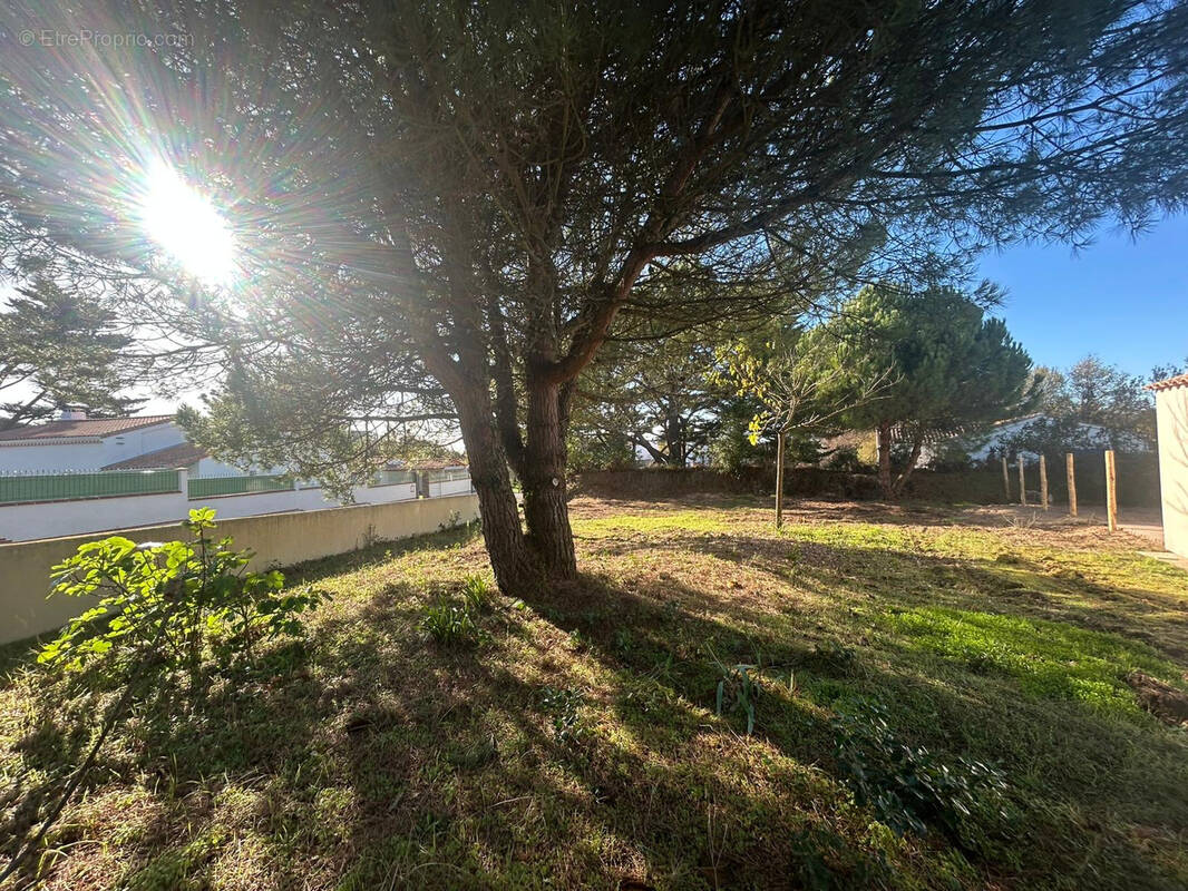 Terrain à SAINT-HILAIRE-DE-RIEZ