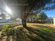 Terrain à SAINT-HILAIRE-DE-RIEZ