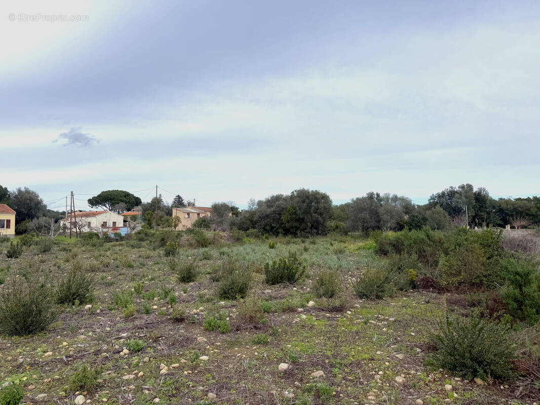 Terrain à GHISONACCIA